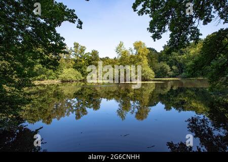 L'étang de Leyenweiher dans la Heath de Wahner près de Troisdorf, Rhénanie-du-Nord-Westphalie, Allemagne. Der Leyenweiher dans le Wahner Heide BEI Troisdorf, Nordrhei Banque D'Images