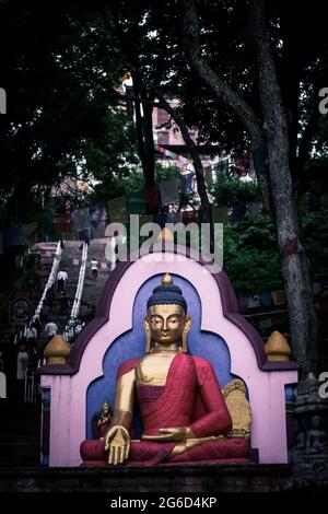 Magnifique statue de Bouddha au fond du Temple du singe Banque D'Images