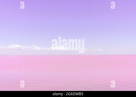 Lac salé au sel rose et au ciel violet doux. Lac salé rose de Sasyk-Sivash en Crimée. Paysage d'été Banque D'Images