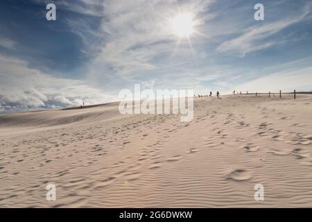 Vue sur les dunes du parc national de Slowinski en été Banque D'Images