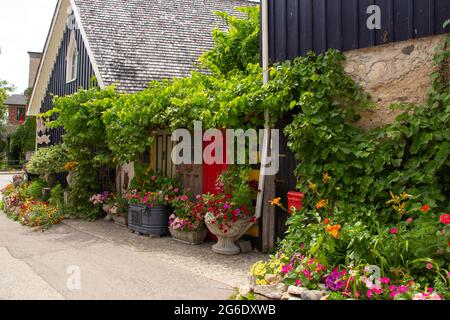 Ivy et fleurs sur le côté du bâtiment Banque D'Images