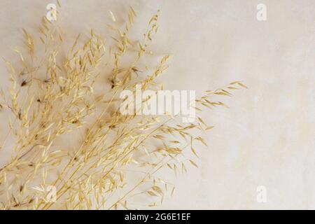bouquet de plantes séchées sur fond beige, espace copie. Banque D'Images