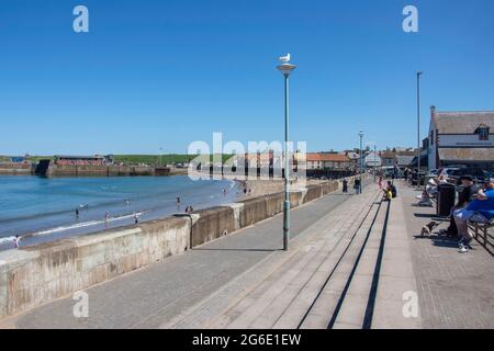 Beach Promenade, Eyemouth, Scottish Borders, Écosse, Royaume-Uni Banque D'Images