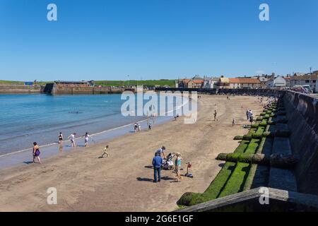 Eyemouth, frontières écossaises, Écosse, Royaume-Uni Banque D'Images