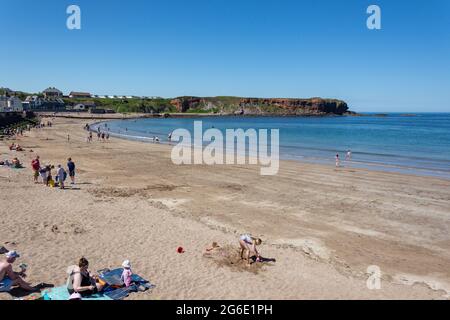 Beach Promenade, Eyemouth, Scottish Borders, Écosse, Royaume-Uni Banque D'Images