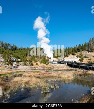 Volcan de boue, source thermale à la vapeur à l'arrière, Dragon's Mouth Spring, parc national de Yellowstone, Wyoming, États-Unis Banque D'Images