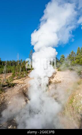 Source thermale à vapeur, Dragon's Mouth Spring, parc national de Yellowstone, Wyoming, États-Unis Banque D'Images