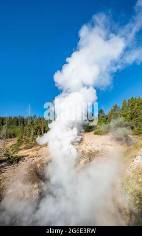 Source thermale à vapeur, Dragon's Mouth Spring, parc national de Yellowstone, Wyoming, États-Unis Banque D'Images