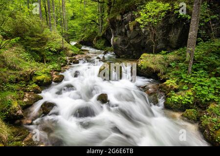 Torrent à Hartelsgraben, parc national de Gesäuse, Styrie, Autriche Banque D'Images