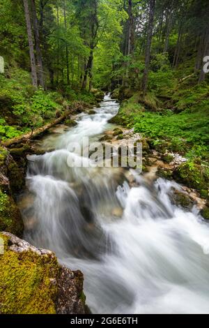 Torrent à Hartelsgraben, parc national de Gesäuse, Styrie, Autriche Banque D'Images