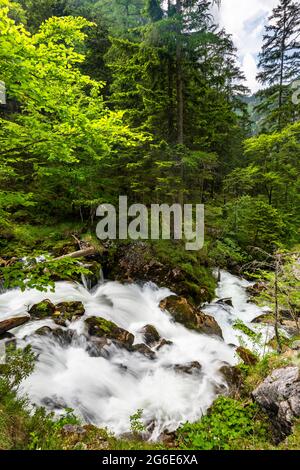 Torrent à Hartelsgraben, parc national de Gesäuse, Styrie, Autriche Banque D'Images