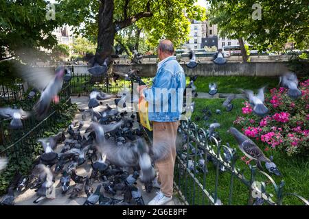 Homme nourrissant des colombes sur l'île de Seine, Ile de la Cité, Paris, France Banque D'Images