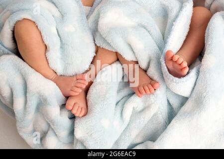 Photo des jambes d'un nouveau-né. Pieds de bébé recouverts d'un fond isolé en laine. Banque D'Images