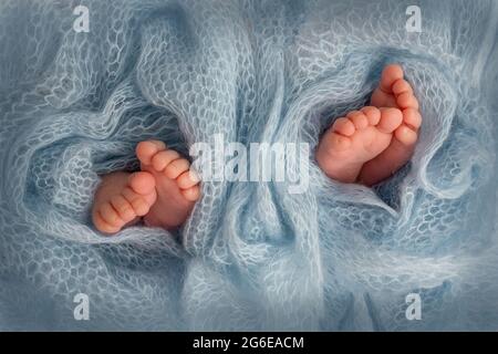 Photo des jambes d'un nouveau-né. Pieds de bébé recouverts d'un fond isolé en laine. Banque D'Images