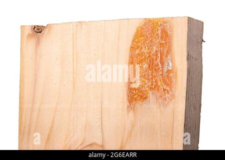 Une planche en pin avec un point visible de résine. Un lieu en bois avec une infiltration de résine fraîche. Arrière-plan isolé. Banque D'Images