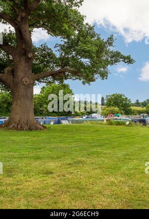 Marina de Droitwich Spa, Droitwich, Worcestershire, Angleterre. Banque D'Images