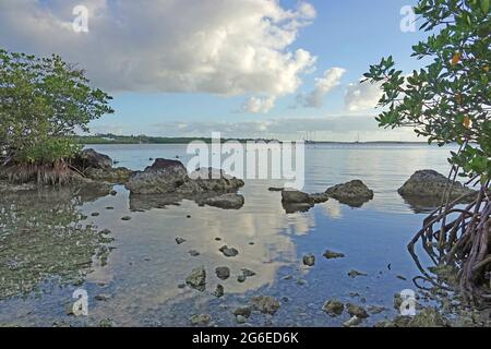 Des eaux encore plus profondes tôt le matin au parc régional John Pennekamp Coral Reef, Floride Banque D'Images