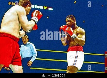 Mike Tyson contre Steve Zski au Nassau Coliseum le 10 mars 1986 Banque D'Images