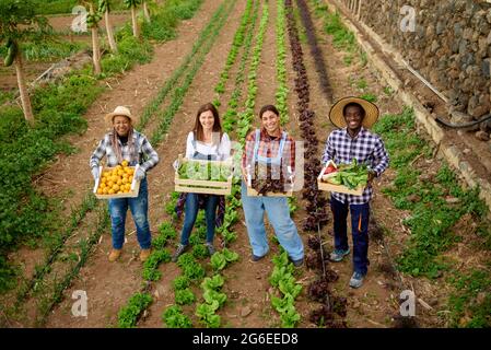 Souriant fermiers multiraciaux avec des légumes frais dans des boîtes sur la plantation Banque D'Images