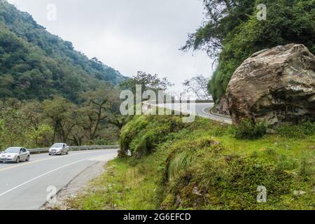 Montagnes couvertes d'une forêt luxuriante le long de la route de San Miguel de Tucuman à Tafi del Valle, Argentine Banque D'Images