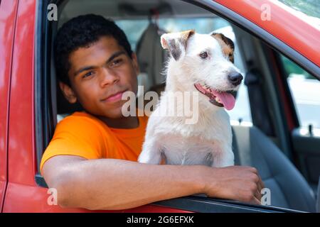 Le chien Jack Russell est assis dans la voiture avec son propriétaire Banque D'Images