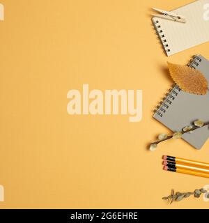 Bloc-notes, crayon, clip, plante sèche sur fond orange. flat lay, vue de dessus, espace de copie. Lieu de travail et d'étude Banque D'Images