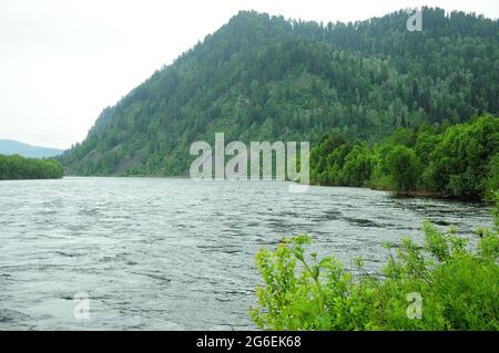 Un virage d'une rivière de montagne qui coule à fond dans la vallée jusqu'au pied de la colline. Rivière Biya, Altaï, Sibérie, Russie. Banque D'Images