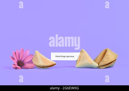Texte de motivation « les bonnes choses prennent du temps » à côté du cookie de fortune et de la fleur sur fond violet Banque D'Images