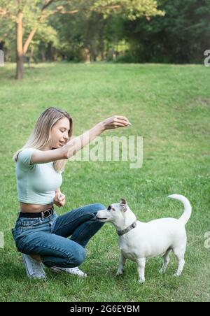 Femme jouant avec une race de chien Jack Russell Terrier Banque D'Images