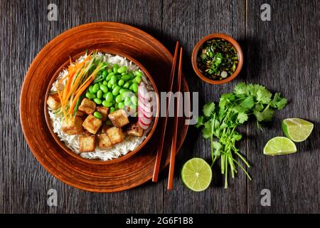 bol à poke de tofu avec riz basmati, haricots édamames, radis, salade de concombres et carottes finement tranchés dans un bol en argile avec baguettes, vue horizontale de Banque D'Images