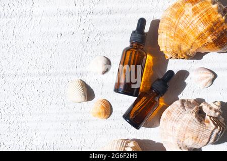 Huile et coquilles cosmétiques . Le concept d'une bouteille d'huile cosmétique sans nom. Cosmétologie. Soins de la peau. Spa. Photo de haute qualité Banque D'Images