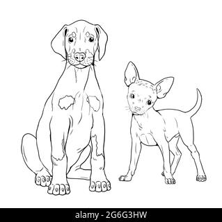 Le Dobermann et le Pinscher allemand. Chiens mignons chiots. Modèle de coloriage. Illustration numérique. Banque D'Images