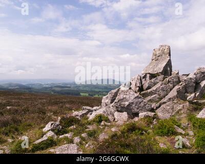 Vue le long de l'arête parsemée de rochers de la route principale de Shropshire Way dans la réserve naturelle nationale de Stiperstones au sud Shropshire Hills Angleterre Banque D'Images