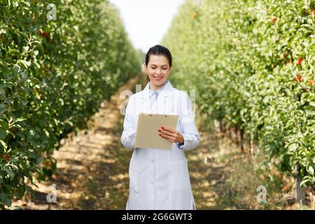 L'agronome recueille des données sur la culture de fruits biologiques dans une ferme écologique Banque D'Images