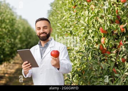 Bel agronome millénaire travaillant dans le verger de fruits biologiques Banque D'Images