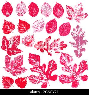 Ensemble de dessins vectoriels avec peintures acryliques. Collection de feuilles d'automne en rouge. Impression bicolore, impression. Idéal pour les modèles d'automne Illustration de Vecteur