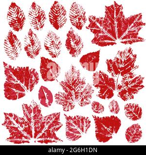 Collection de feuilles d'automne en rouge. Ensemble de dessins vectoriels avec peintures acryliques. Impression bicolore, impression. Idéal pour les bannières automnales Illustration de Vecteur