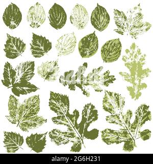Ensemble de dessins vectoriels avec peintures acryliques. Collection de feuilles vertes d'automne ou de printemps. Impression bicolore, impression. Bon pour la conception de bannières, mouche Illustration de Vecteur