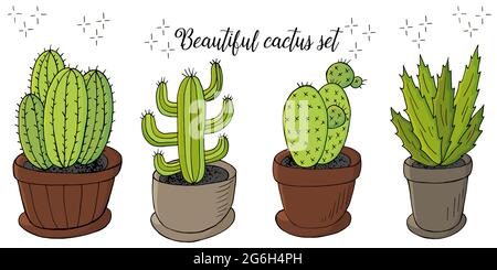 Illustration vectorielle mignonne. Ensemble d'images de dessins animés de cactus dans des pots de fleurs. Cactus, aloès, succulents. Collection créative. Les éléments naturels décoratifs sont Illustration de Vecteur