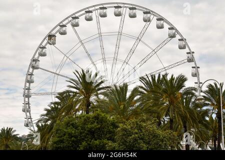 La grande roue panoramique du Vieux Port (Porto Antico) de Gênes derrière les palmiers et contre le ciel nuageux, Ligurie, Italie Banque D'Images