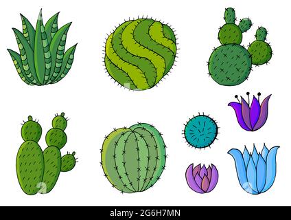 Illustration vectorielle mignonne. Ensemble d'images de dessins animés de cactus. Cactus, aloès, succulents dans une collection créative. Les éléments naturels décoratifs sont isolés o Illustration de Vecteur