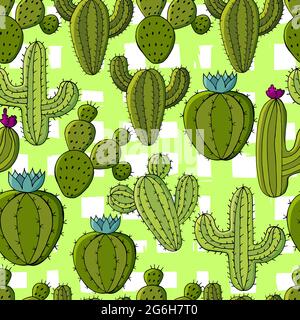 Motif vectoriel sans couture de différents cactus. Arrière-plan mignon de plantes tropicales. Papier peint exotique dans les couleurs vertes. Image de tendance idéale pour les tissus Illustration de Vecteur