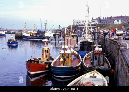 Bateaux de pêche au port de Seahouses en 1984 Banque D'Images