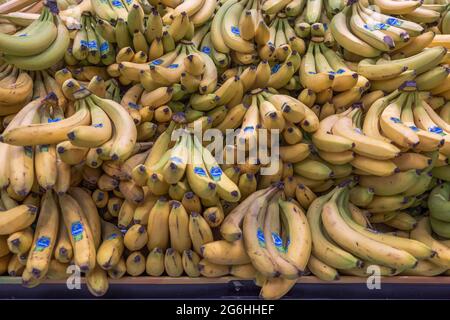 Vue rapprochée des bananes sur l'étagère du supermarché. Banque D'Images