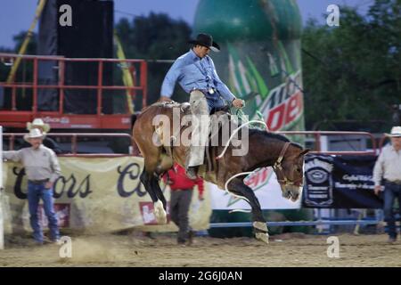 Prescott Frontier Days 2021 Banque D'Images