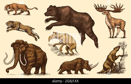 Mammouth ou éléphant éteint, Woolly rhinoceros Cave ours lion. Tigre à dents Panthera sabre, wapiti ou cerf irlandais, loth, Megatheriidae. Vintage Illustration de Vecteur