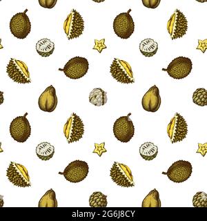 Motif sans couture avec papaye de couleur dessinée à la main, amiders, durian, jackfruit, sucre-pomme, source Illustration de Vecteur