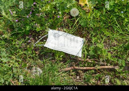 masque chirurgical blanc utilisé pour la protection contre les covidés jeté sur le sol dans le jardin dans les fleurs et la verdure. problèmes de masques de déchets. masque facial Banque D'Images