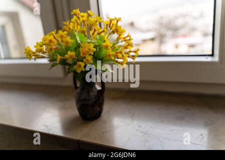 Petit pot d'arbre avec fausse plante de fleur jaune sur un vase gardé par la fenêtre dans le salon. Mise au point sélective avec faible profondeur de champ. Magnifique Banque D'Images