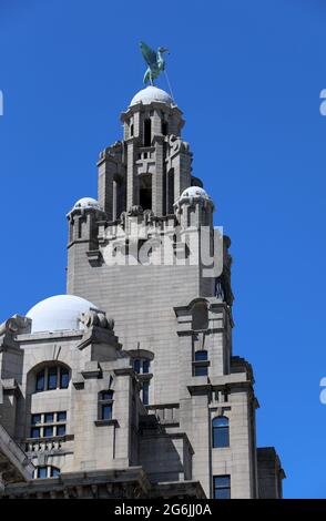 Le Royal Liver Building à Liverpool Banque D'Images